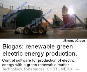 Biogas: renewable green electric energy production
