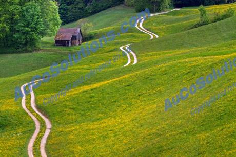 Percorsi pedonali separati dalle strade