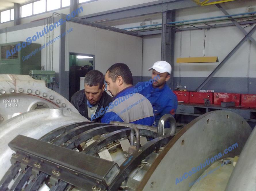Hassi Messaoud (Algeria): Gas turbine mechanical team